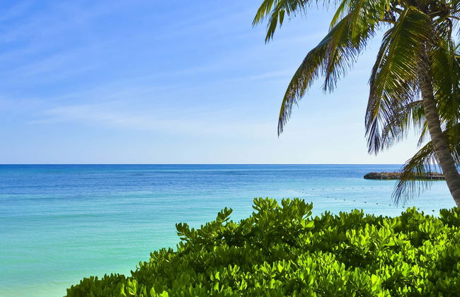 Alquiler de motos de agua en Bahía Montego - Foto 1