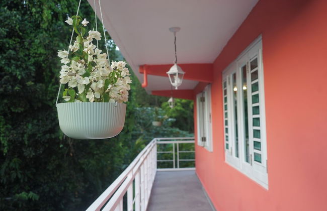 El Yunque Rainforest - Photo 37