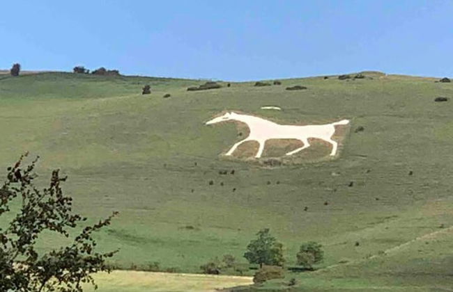 Cosy Rural Retreat, Sleeps 3 & Petfriendly - Foto 18