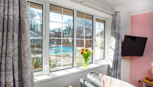 Bank Voles Nest - Uk45199 - Foto 5