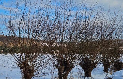 Przystań Mielnów - Foto 30