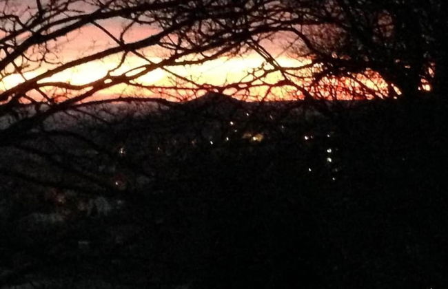 Ferienhaus in Blankenburg - Foto 25