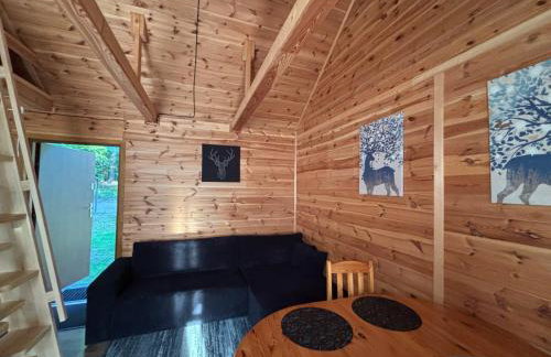 Leśny Zakątek - Mazury - Warmia - jezioro Dadaj - Foto 13