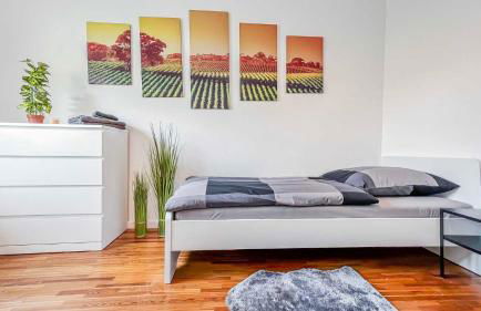 Houses in Gau-Bischofsheim - Foto 28