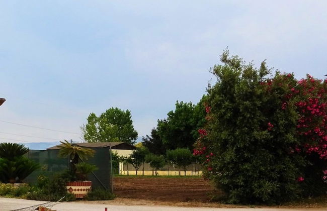 Agriturismo La Lestra - Foto 19