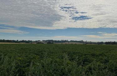 Miętowy Domek Trzebawie - Foto 22