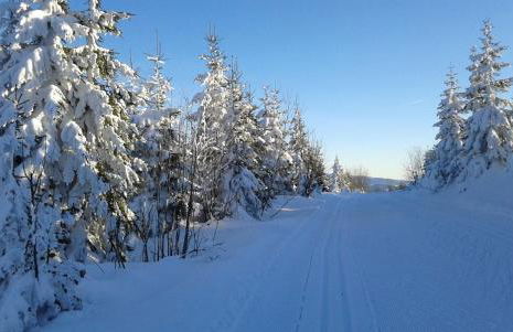 Ferienwohnung Penzkofer - Foto 47