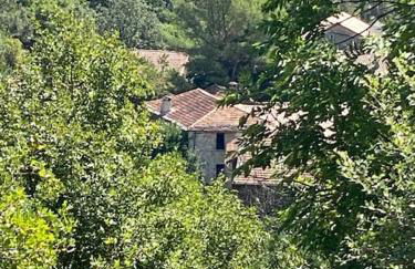 Appartement de Charme dans un Ancien Mas Cévenol piscine et jacuzzi - Foto 50