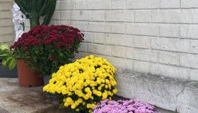 Maisonnette au calme proche T2 - Foto 2