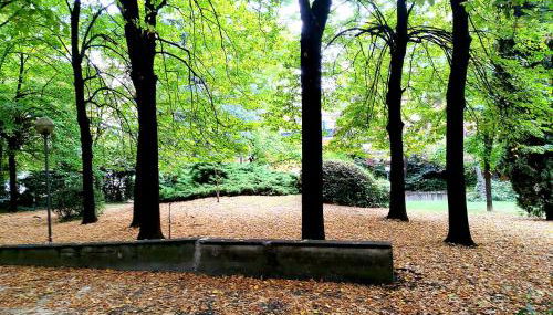 Alam B&B Bologna - Foto 4, Garden