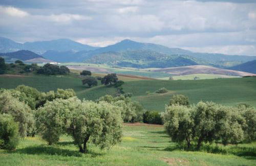 finca las gateras - Foto 31