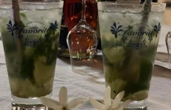 DOMAINE DE MAPOU - Photo 43