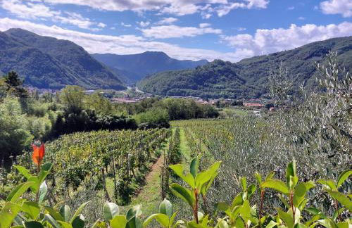 Agriturismo Tenuta La Fratta - Foto 1