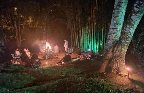 Refúgio Mata Atlântica, Riacho, Piscina, Natureza - Foto 66