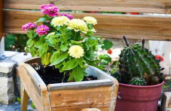 Myrtia - Cretan Guest House - Foto 27