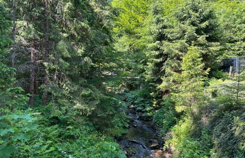 Forest House- dom nad górskim potokiem - Foto 21