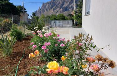 I due carrubi - Foto 11