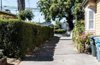 West End Neighborhood Cottage - Foto 19