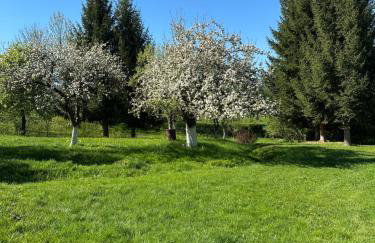 Dom Pod Dębem Agroturystyka - Foto 59