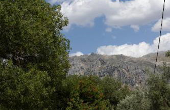 Cortijo el Chaparro - Foto 35