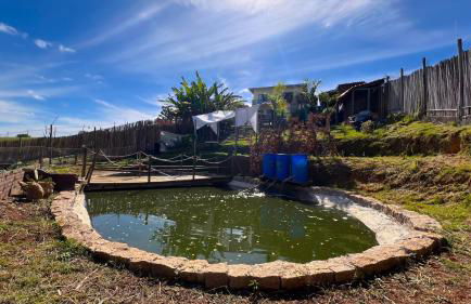 Recanto Dos Pássaros - Foto 19