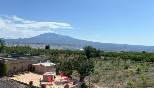 Tenuta Coco - Foto 5