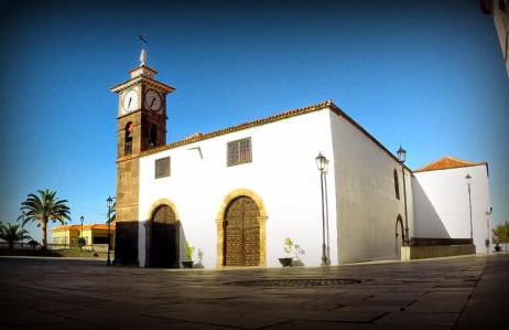 Phoenix Canariensis - Foto 26