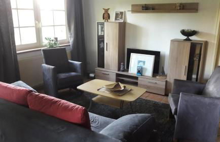 Austernfischer - Photo 4