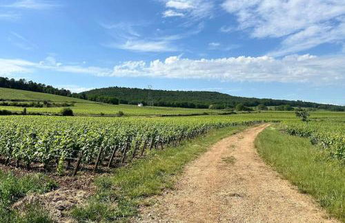 Aux Champs Perdrix - Foto 8