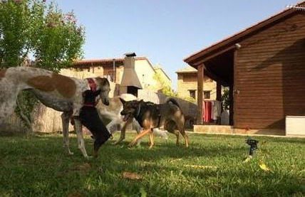 Les Valletes - Foto 66