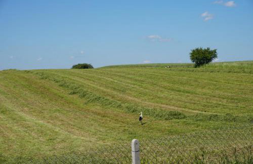 Domek w polu - Foto 33