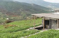 Alonaki Tinos Rental Cottage house - Foto 40