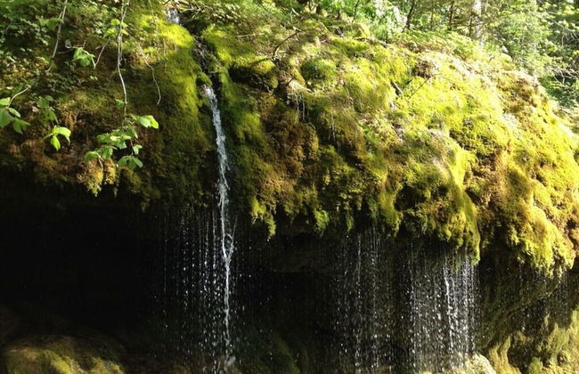 Holiday Home Scharzwald - Foto 14