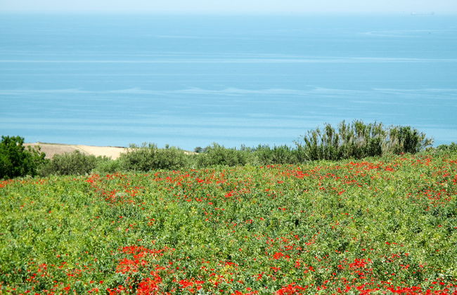 Masseria Difesa Grande - Foto 44