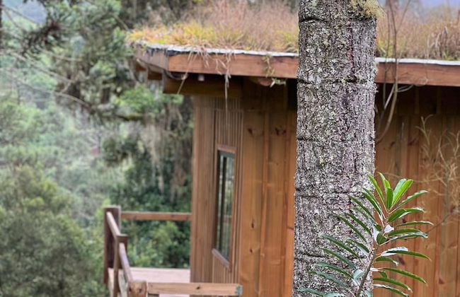 YAAHOO ECOLODGE - Foto 68