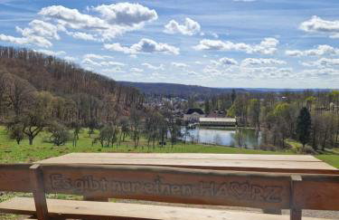 Ferienwohnung Zum Alten Cafè - Photo 39