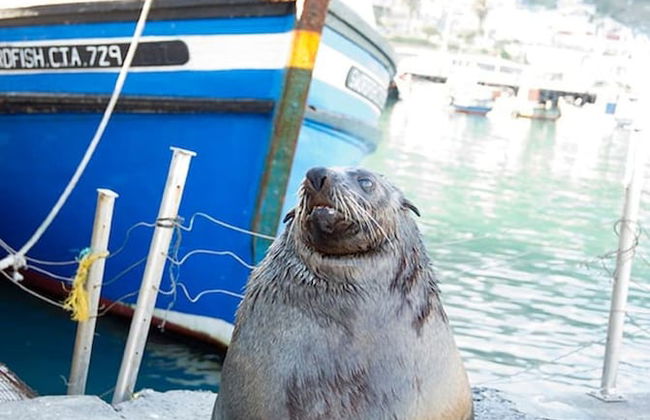 Charming Coastal Townhouse at The Majestic - Foto 23