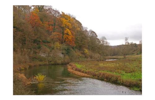 Cosy & quirky cottage in the heart of Bakewell. - Foto 15