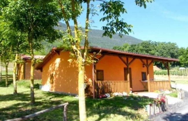 Fattoria Antica Forconia - Photo 25