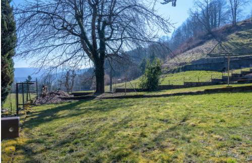 Insel Paradise - Foto 42