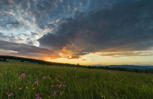 Smerekowiec Domek w lesie - Beskid Niski - Foto 39