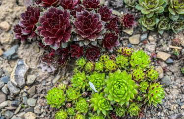 Ferienwohnung Santino - Foto 19