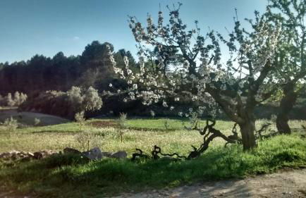 Casa Rumbet - Foto 31