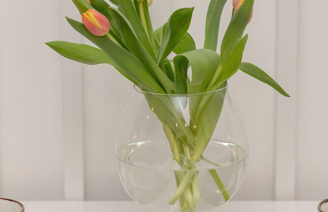 Turquoise Apartment Rogowo by Renters - Photo 3