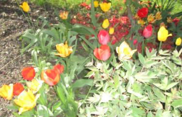 B & B SENTIERO VALTELLINA - Foto 37