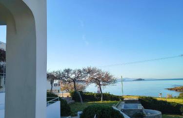 Aktio Studios - Foto 8