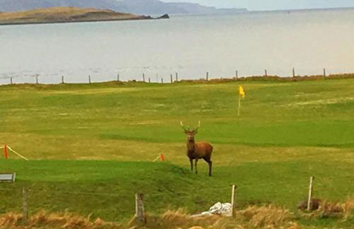 The BoatHouse - Foto 28