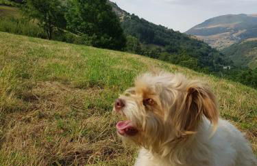 Casa Gloria - Foto 14