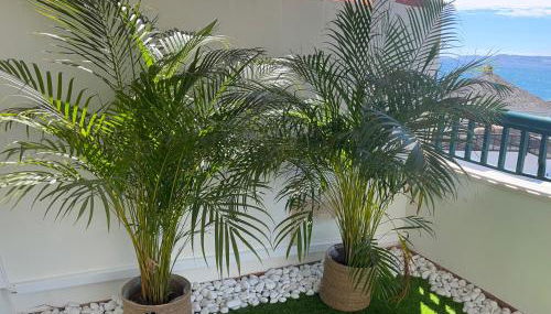 Vista Bella - Foto 3