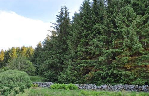 RoSE COTTAGE THREE BEDROOM HOUSE WITH PARKING Christmas Special - Foto 20